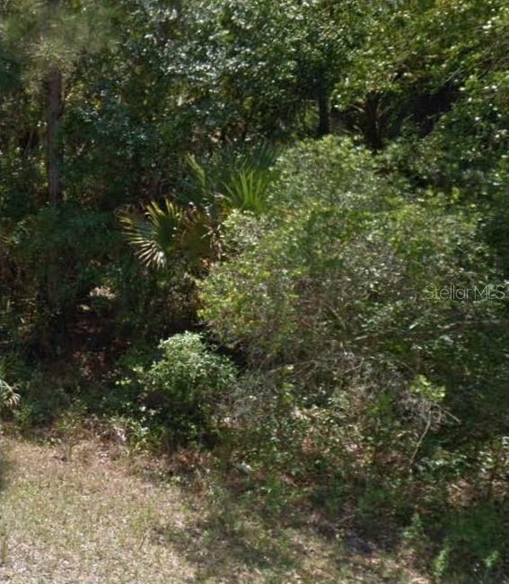 Property Photo:  0 Haas Avenue  FL 34291 