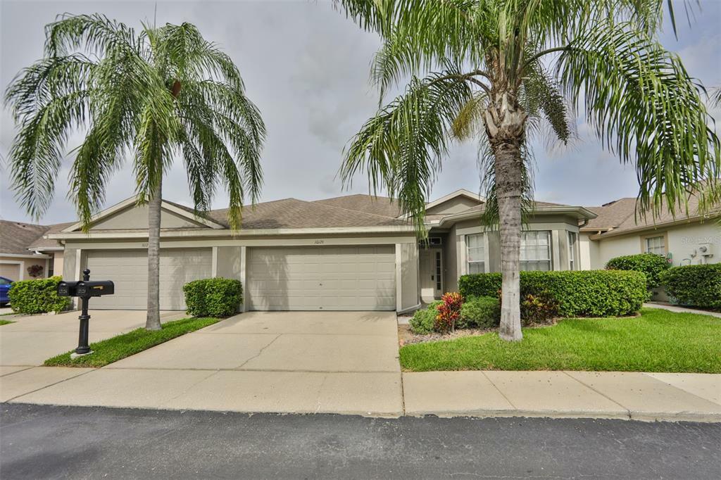 Property Photo:  10126 Mowry Lane  FL 33625 