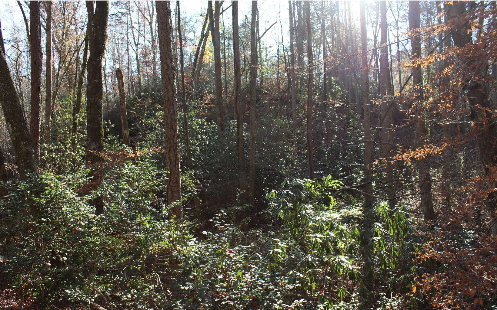 Lot A Tanglewood Road  Murphy NC 28906 photo