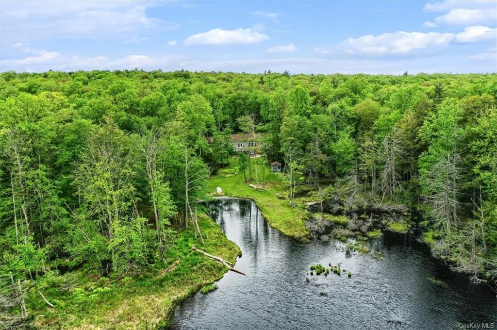 114 Pine Lake Drive  Wurtsboro NY 12790 photo