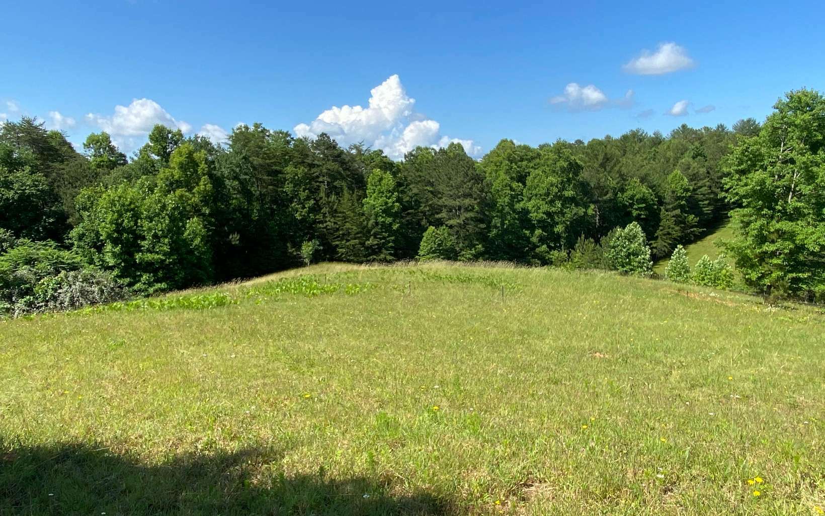 Property Photo: Lt 18 Pond Overlook Lane GA 30560