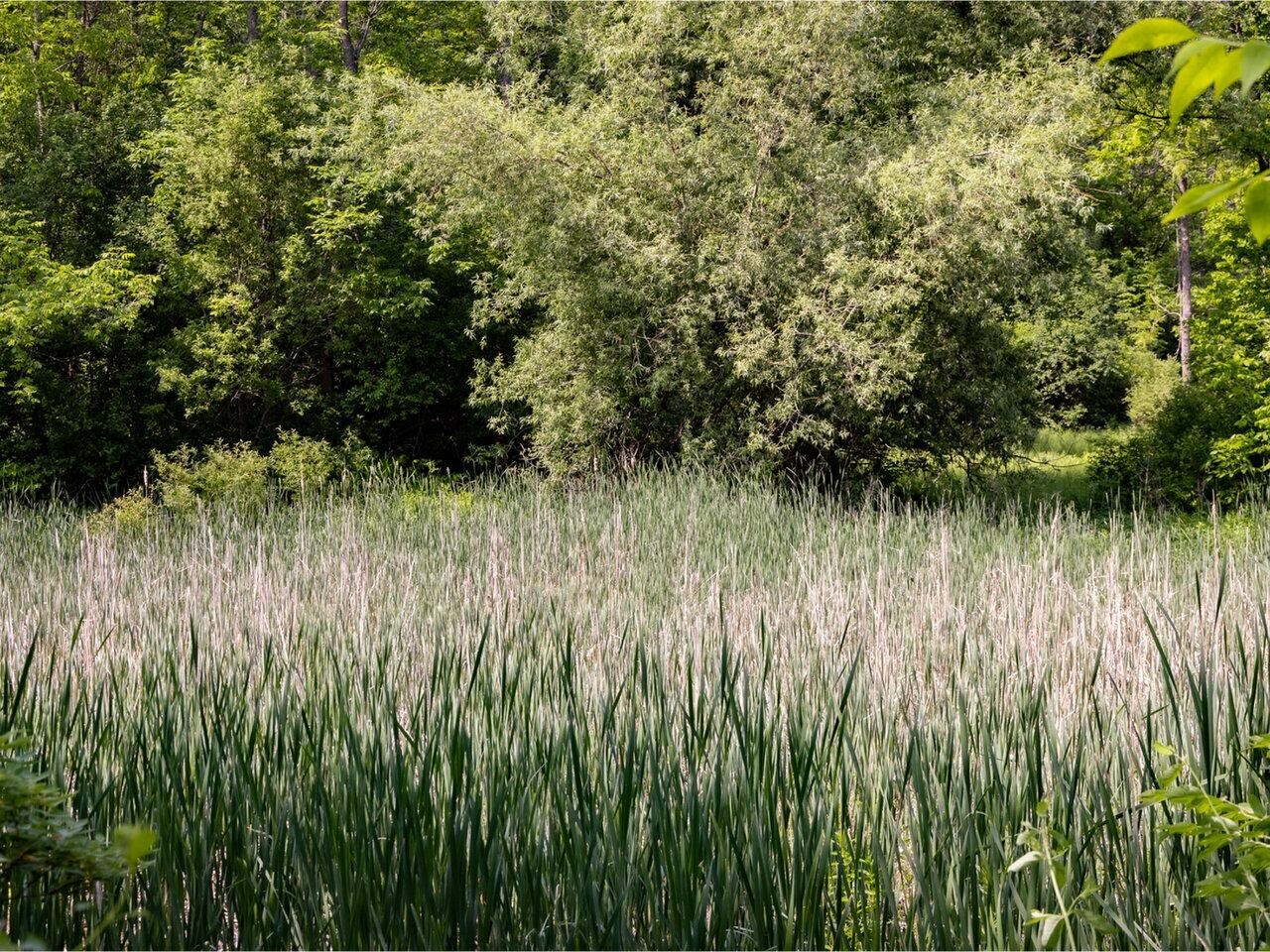 Property Photo:  970 Church Hill Road  VT 05445 