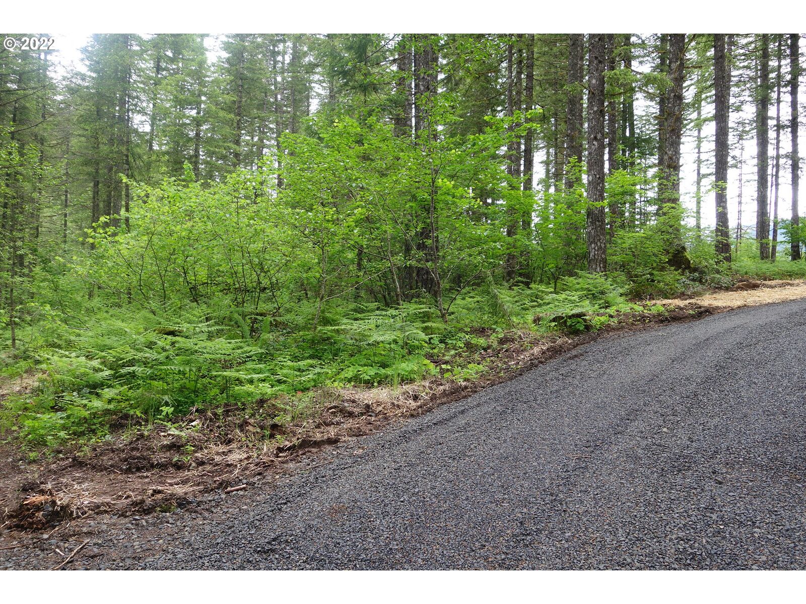 Property Photo:  105 Hemlock Rd  WA 98610 