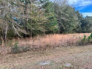 Property Photo: V/L 10 Sabinas Way GA 31558