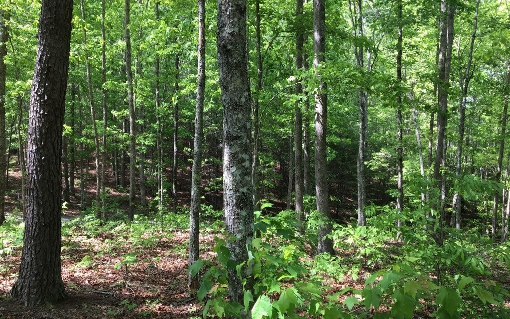 Property Photo:  0 Confederate Circle  NC 28906 