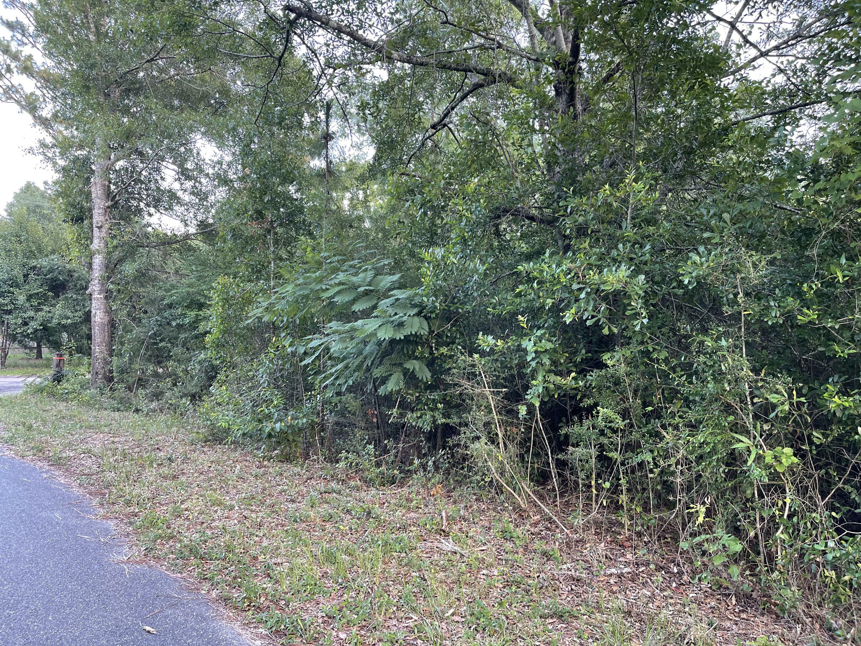 Property Photo:  Lot X Pinewoods Drive  FL 32539 