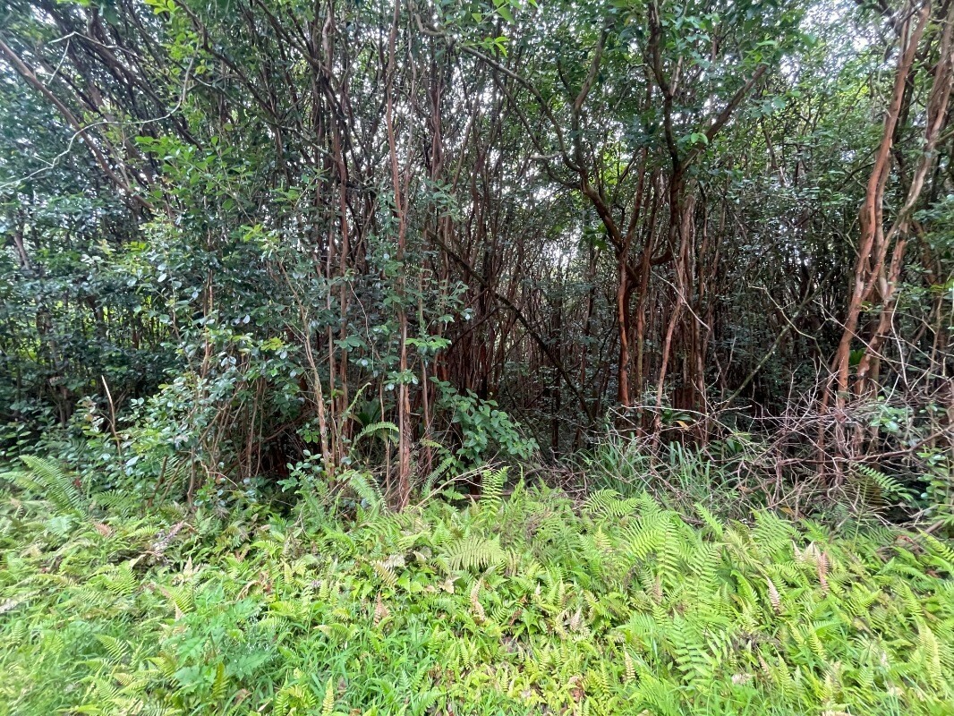Property Photo:  Lanai St  HI 96778 