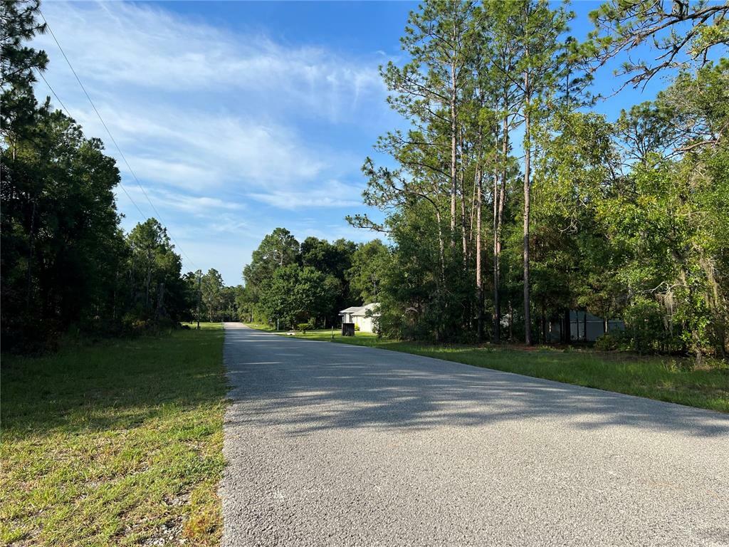 Property Photo:  8248 N Marinazzo Terrace  FL 34428 