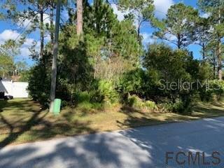 Property Photo:  11 Prince Anthony Lane  FL 32164 