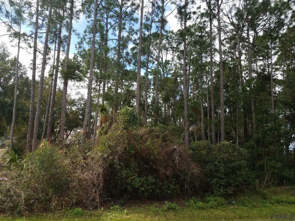 Property Photo:  30 Bunker View Drive  FL 32137 