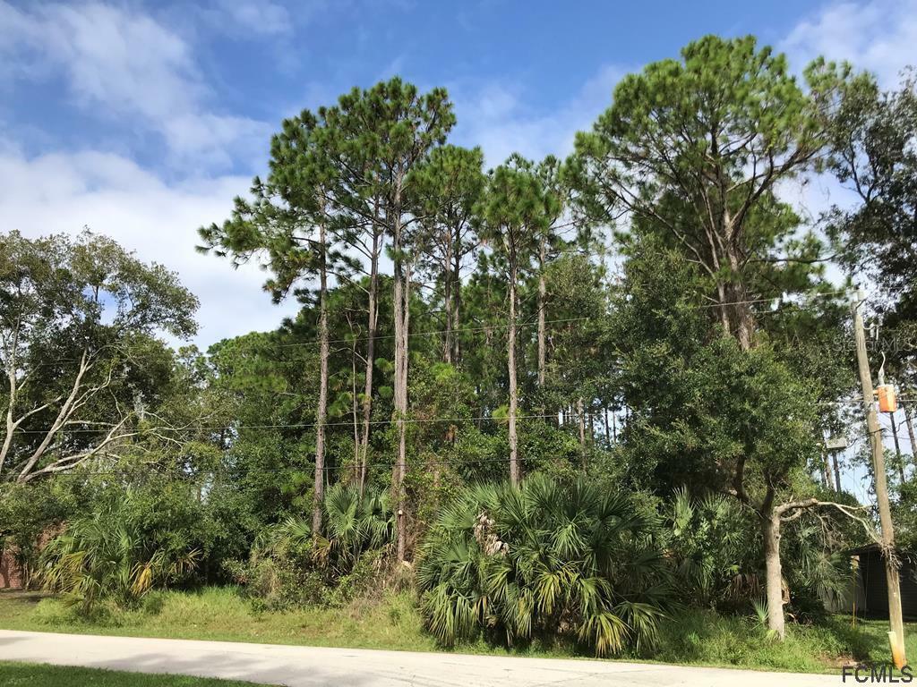 Property Photo:  13 Pilgrim Drive  FL 32164 