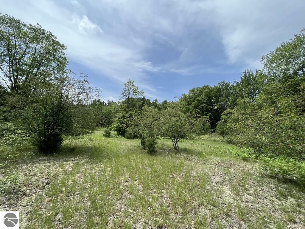 Property Photo: 5 Acres Woodchuck Drive MI 49659