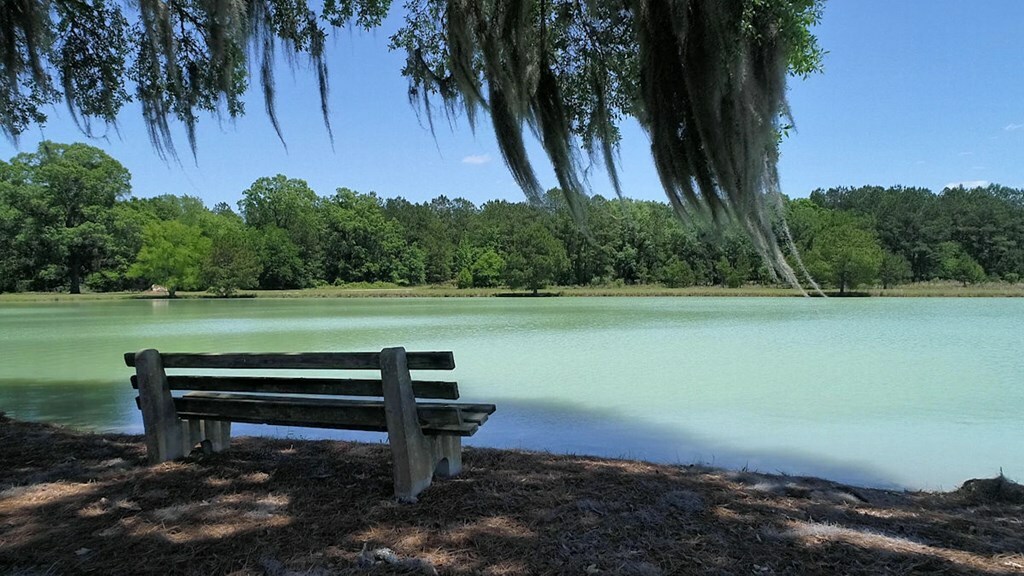 Property Photo:  Lot 10 Hidden Lakes Drive  GA 31721 