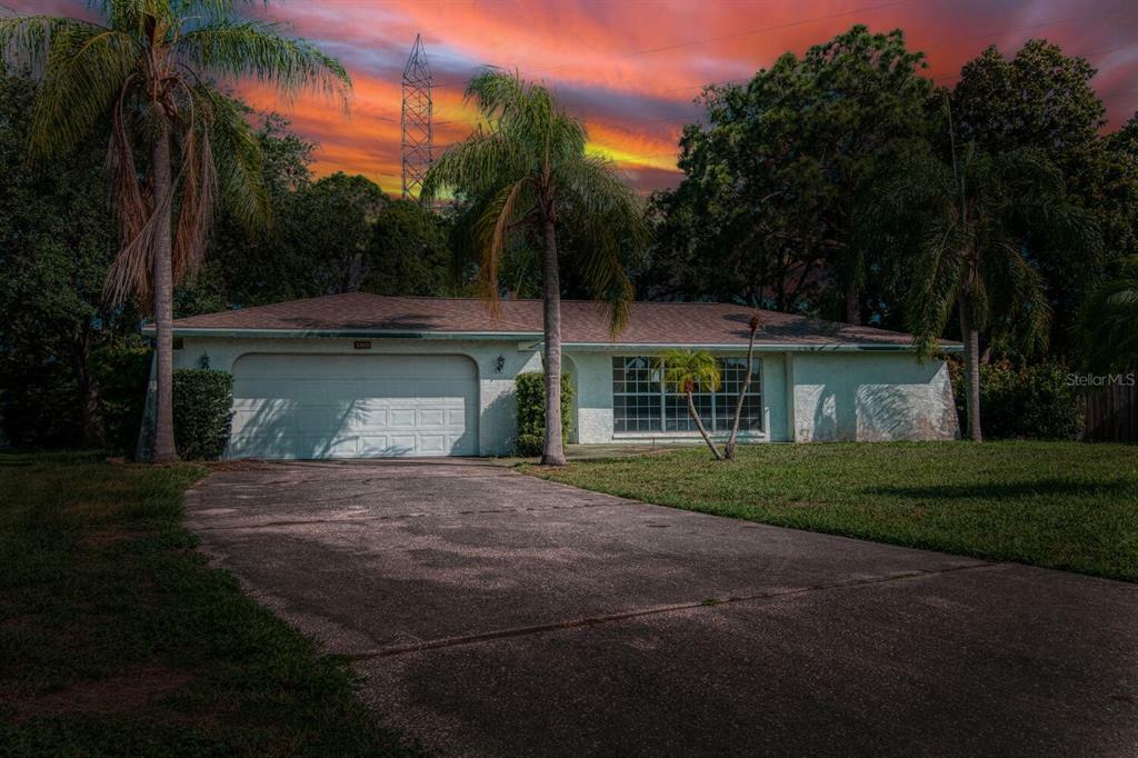 Property Photo:  3260 Buckhorn Drive  FL 33761 