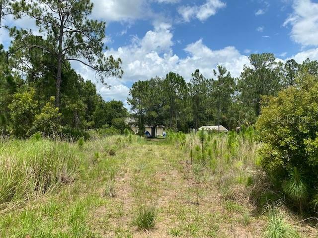 Property Photo:  6622 Lapidus Road  FL 34291 