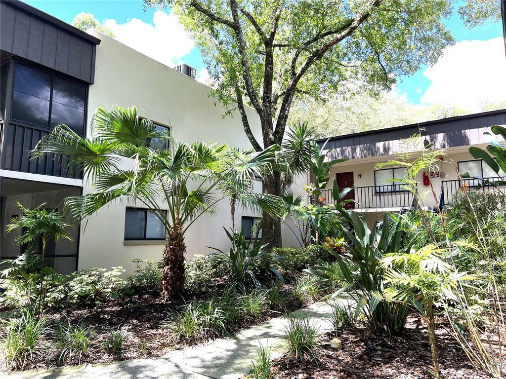 Property Photo:  11708 Raintree Village Boulevard A  FL 33617 