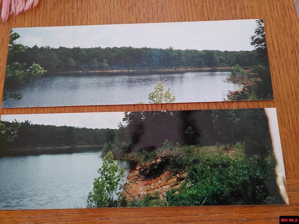 Property Photo:  001-07184-000 Brown Chapel Road  AR 72583 