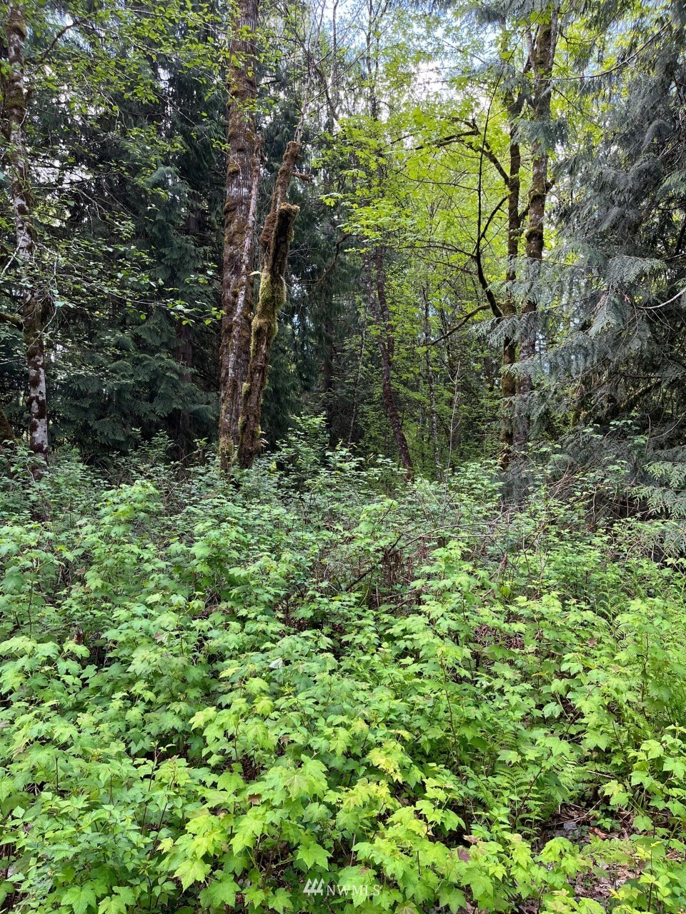 Property Photo: 13420 74th Street NE WA 98258