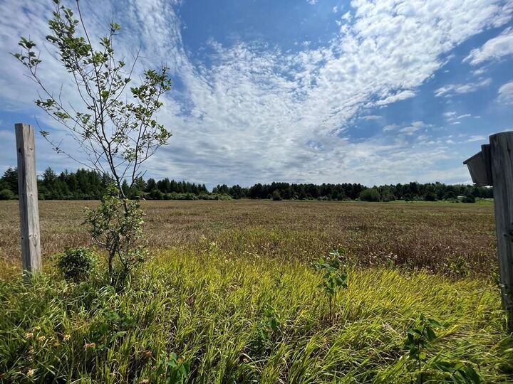 40 Acres Champagne Drive  Merrill WI 54452 photo