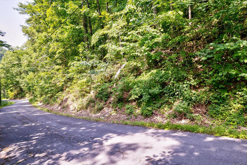 Property Photo:  Lot 19 Sunset Road  TN 37862 