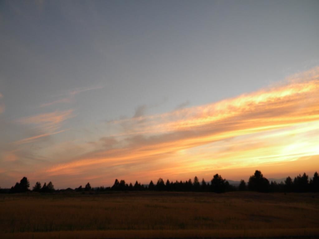 Property Photo: 918 W Wildrose Rd WA 99005