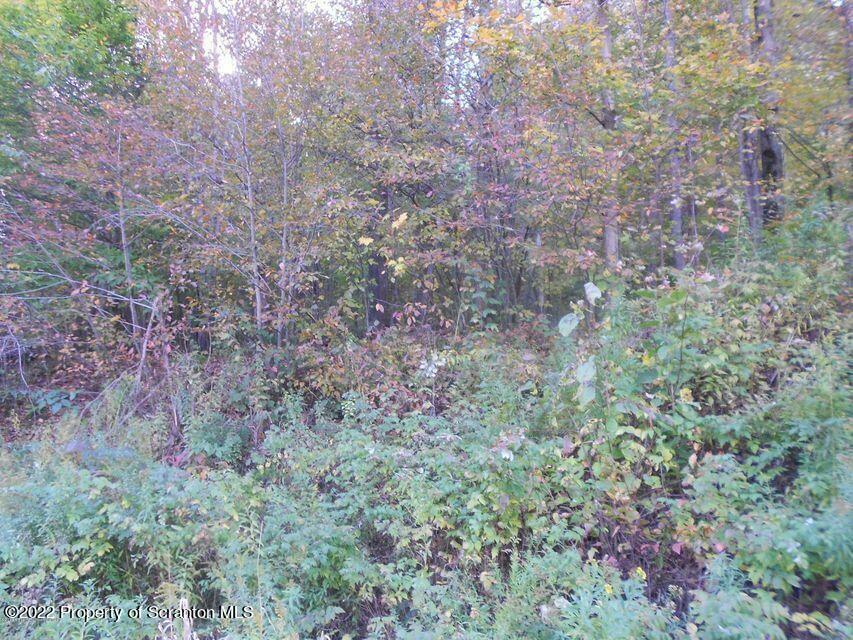 Property Photo:  Quarry Road  PA 18801 