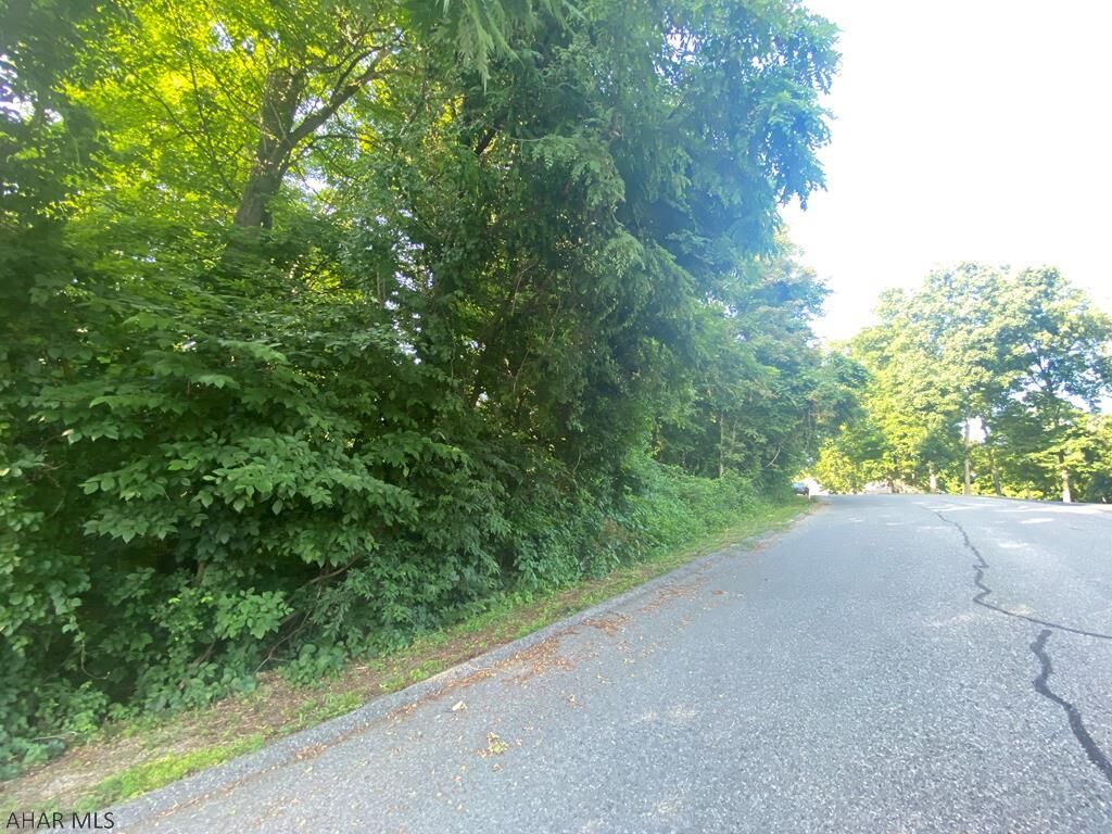 Property Photo: Off Mill Ridge Road Lot 42 Road PA 15537