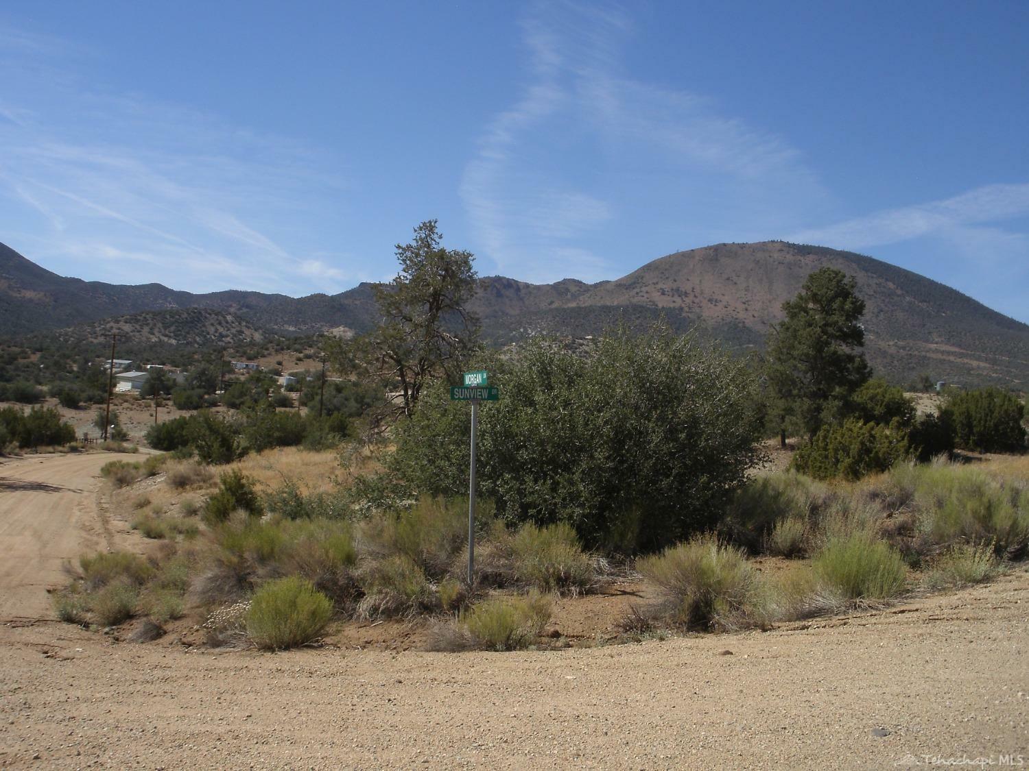 Property Photo:  0 Sunview/Morgan Drive  CA 93561 