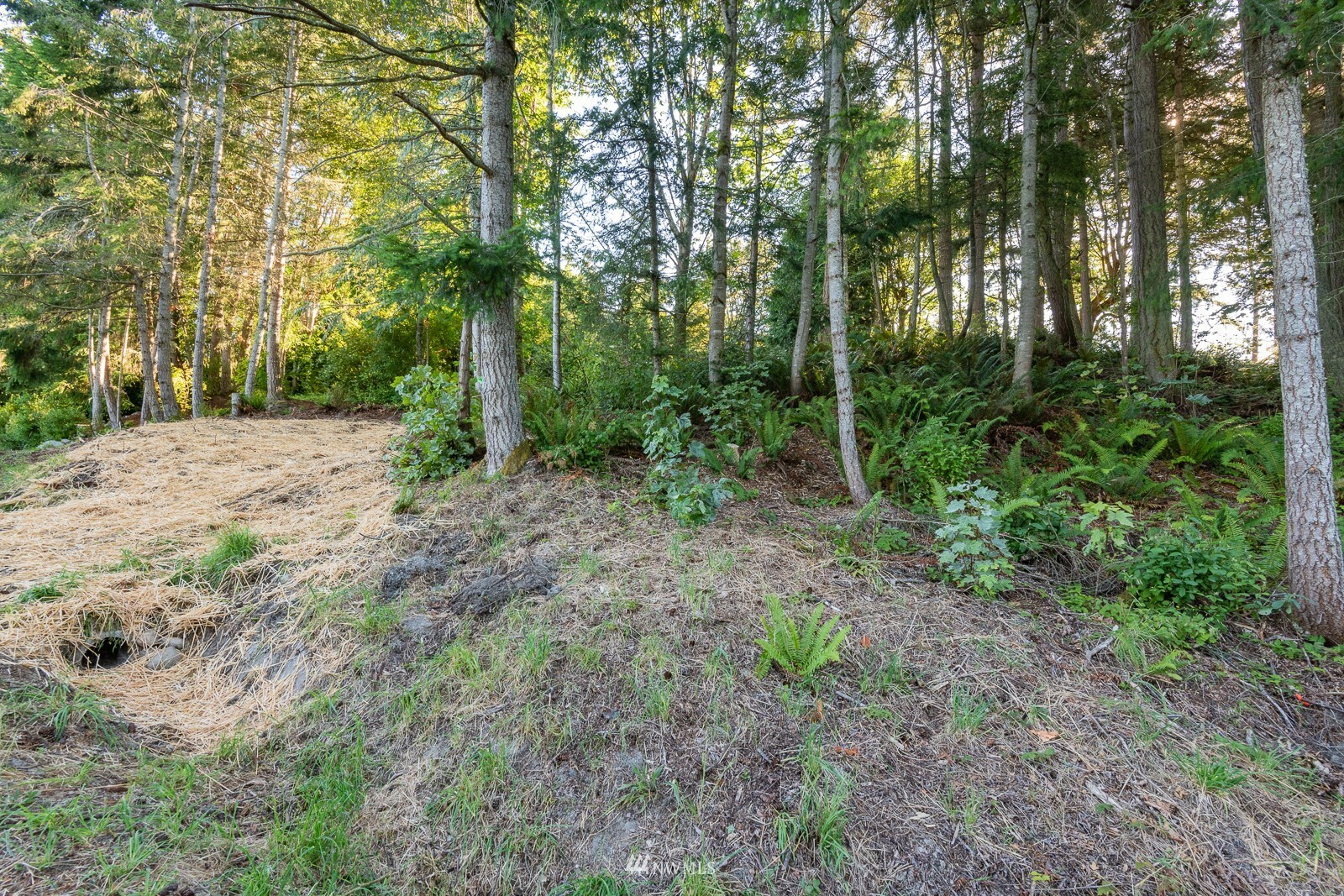 Property Photo:  34492 Bridge View Drive NE  WA 98346 