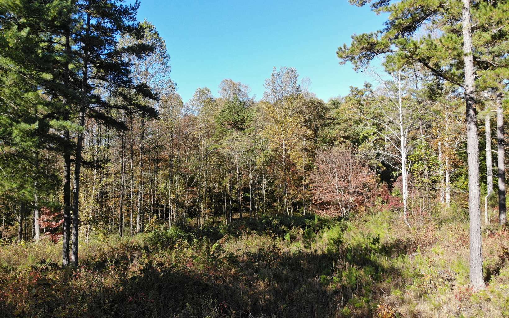 Property Photo:  Lt54 Owen Glen  GA 30512 