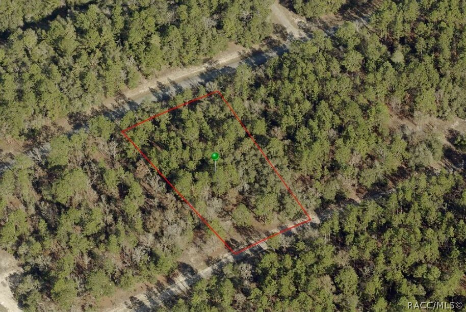 Property Photo:  1648 W Donner Drive  FL 34434 