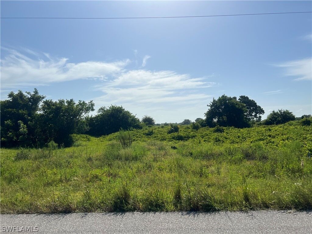 Property Photo:  323 Rawlings Avenue  FL 33974 