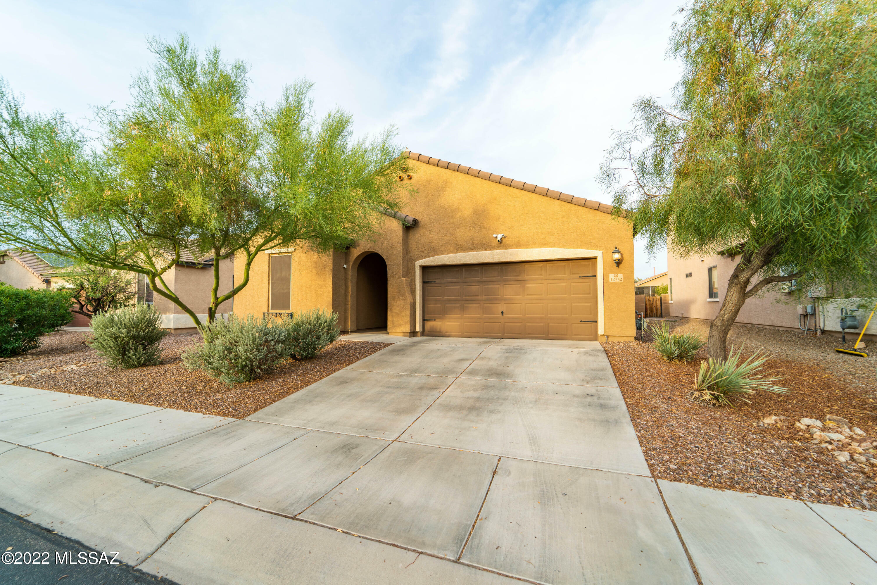 Property Photo:  12732 N Brabant Drive  AZ 85653 