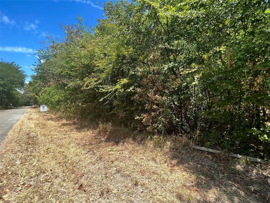 Property Photo:  244 Geronimo Trail  TX 75156 