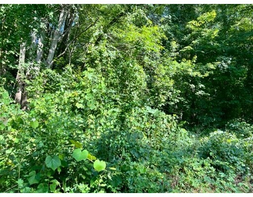 Property Photo: 125 Chilson Rd MA 01095