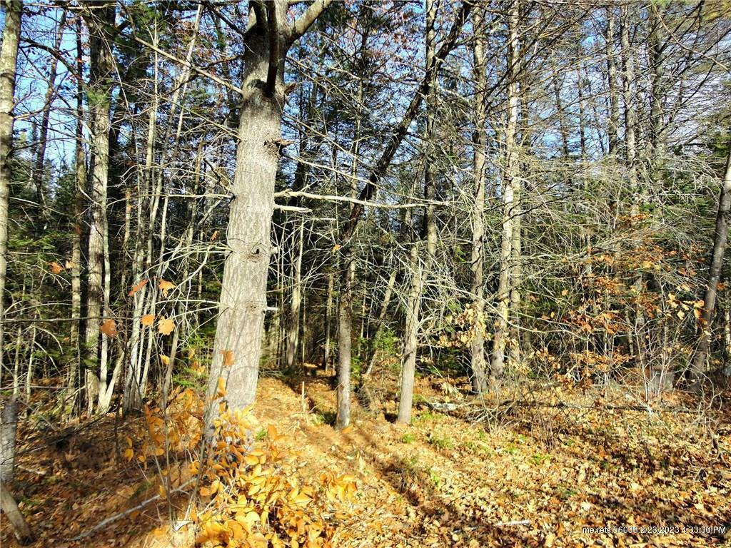 Property Photo: Tbd Clarks Lane ME 04345