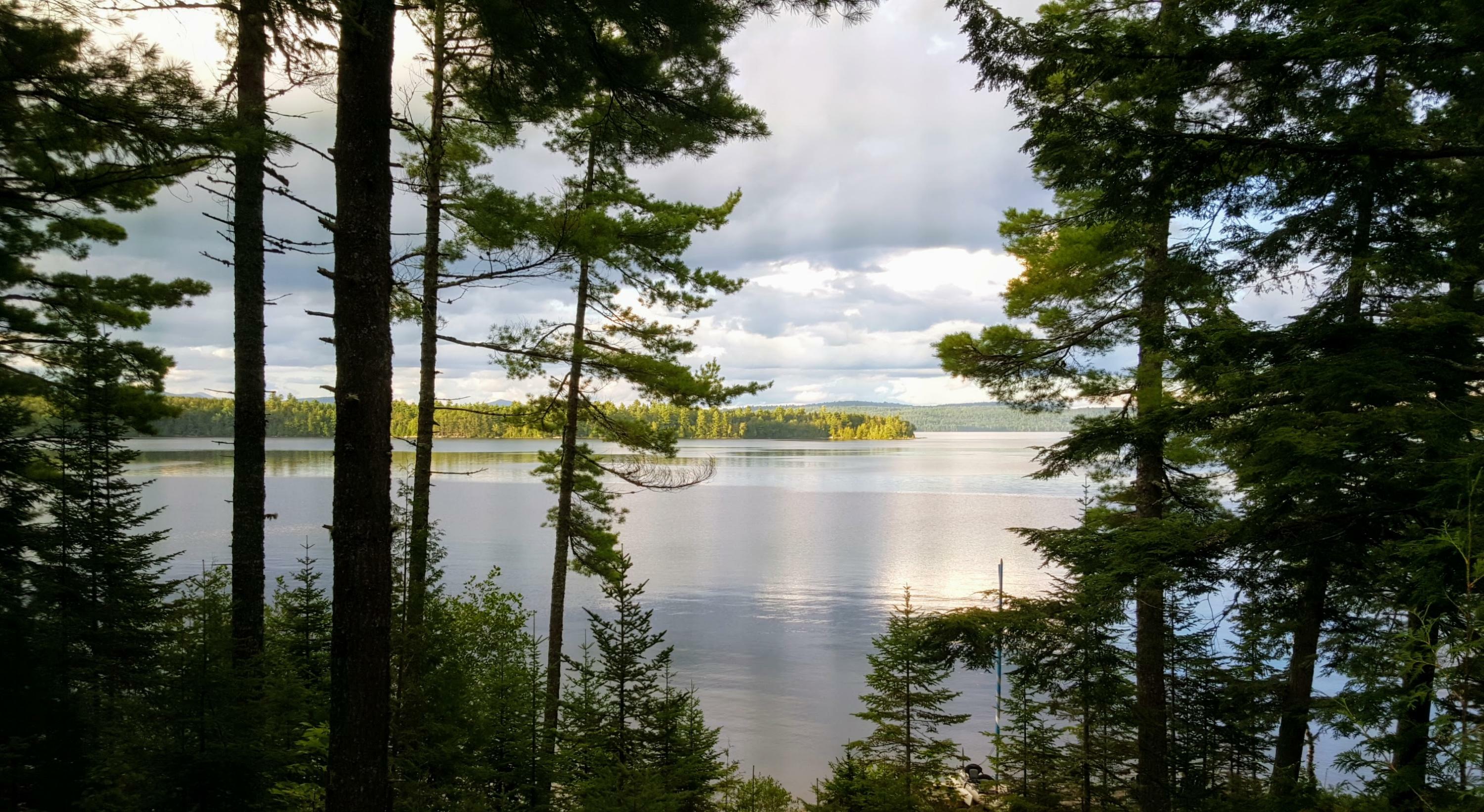 Property Photo: 162 Tims Cove Road ME 04443