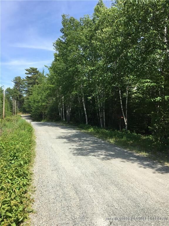 Property Photo:  0 Ginnie May Way (Map 9 Lot 72)  ME 04605 