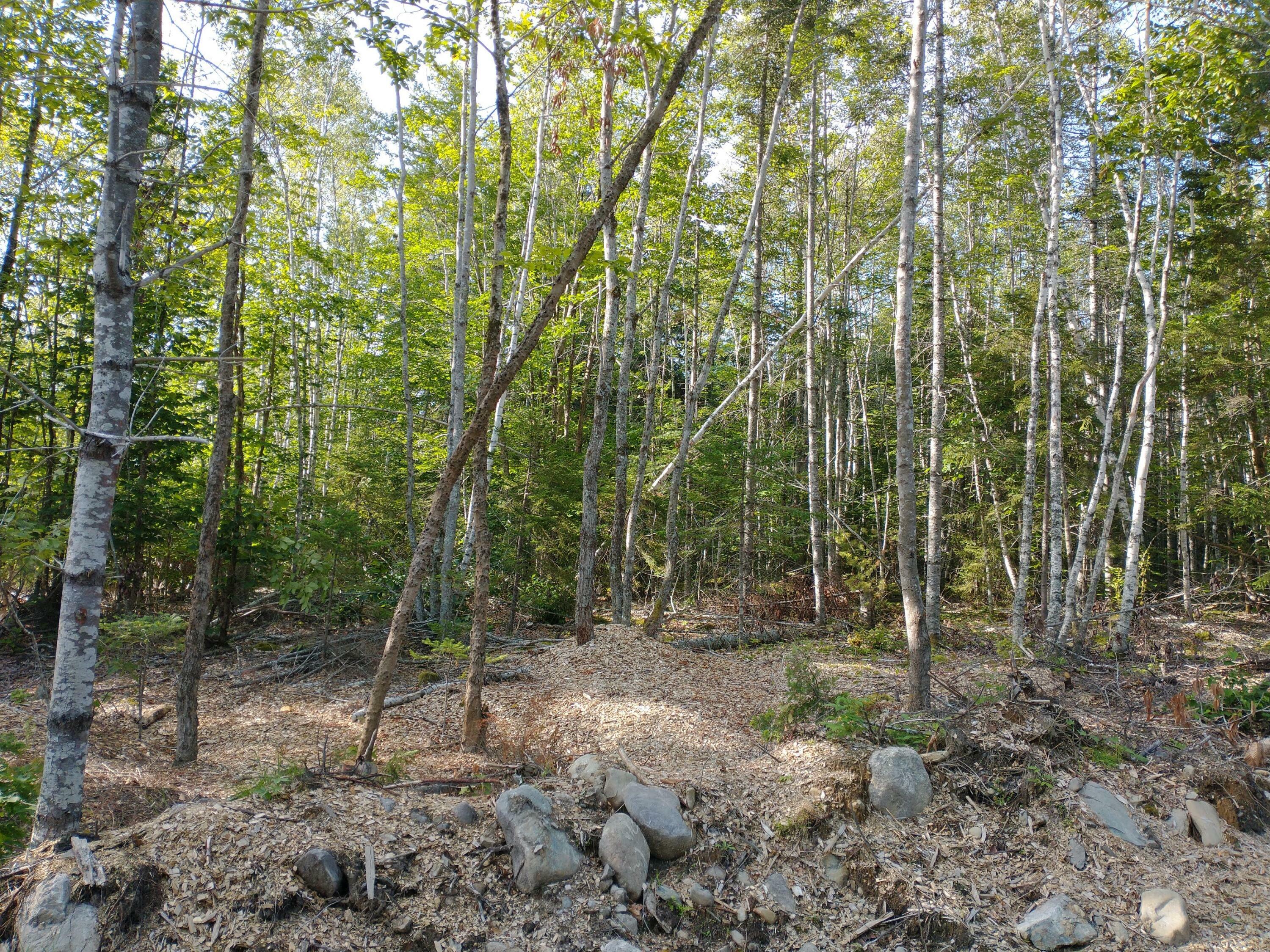 Property Photo:  Lot 10 Sunset Hill Road  ME 04640 