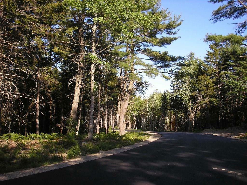Property Photo: 0 White Deer Circle 15 ME 04609