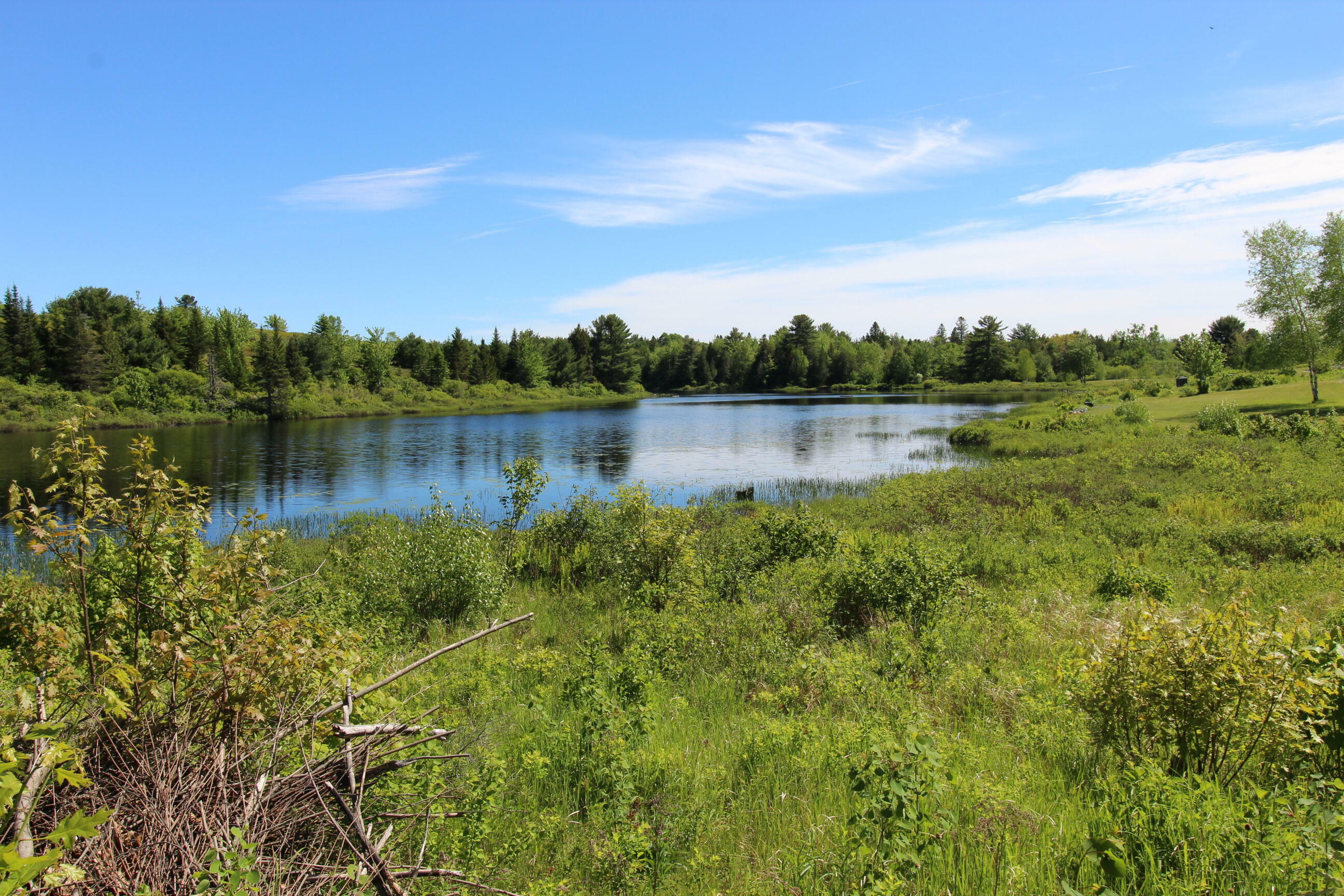 Property Photo:  47 Old Mill Stream Road  ME 04664 