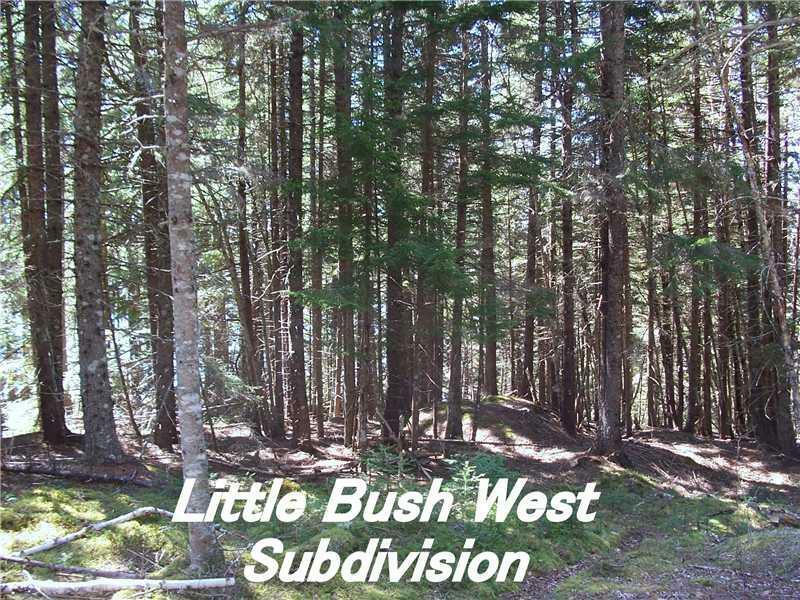 Property Photo:  Lot 4 US Rte 191 Little Bush West  ME 04630 