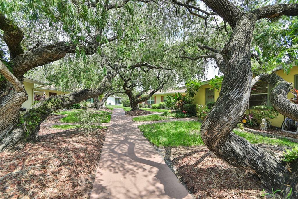 Property Photo:  401 Dorchester Place 66  FL 33573 