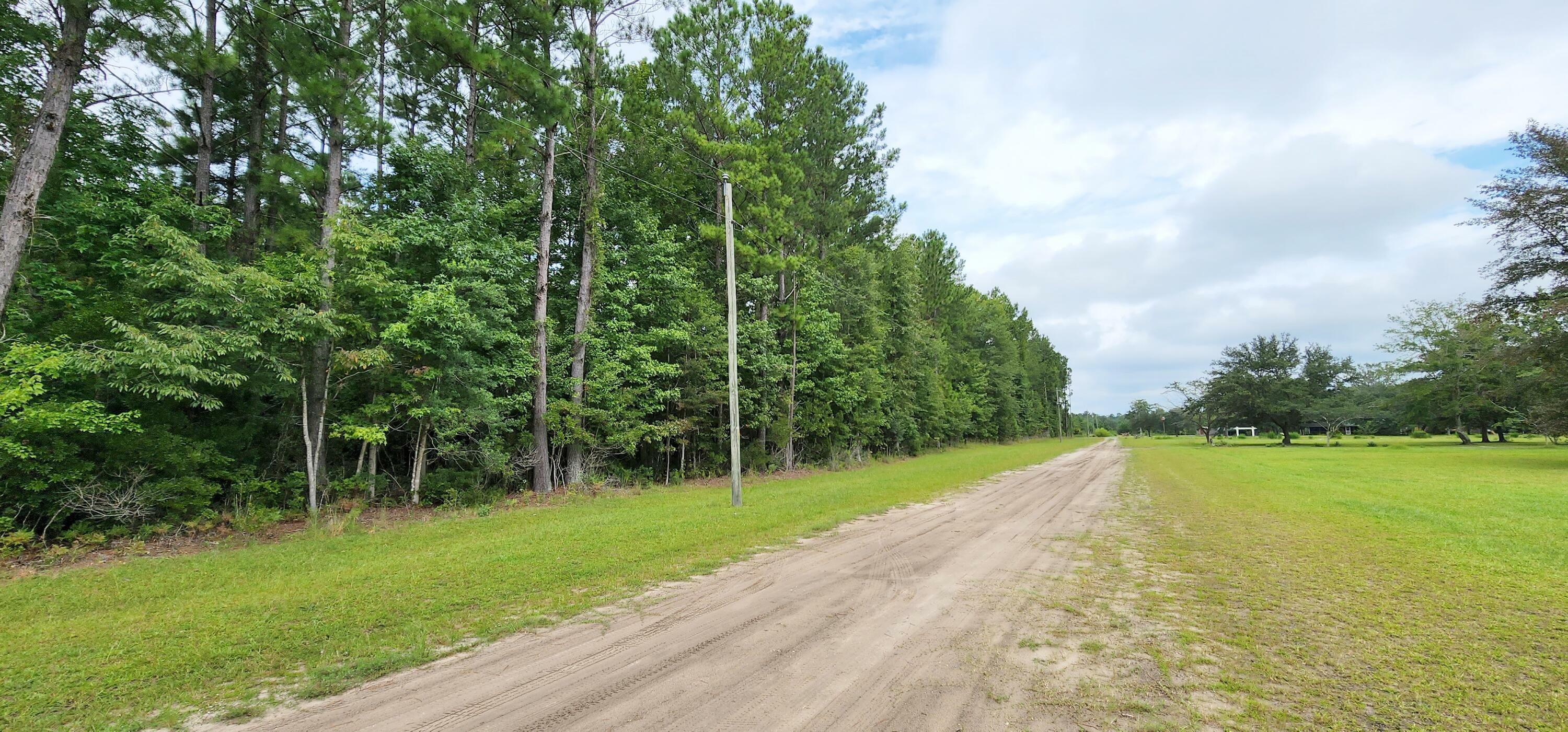 Property Photo:  Lot 3 Skeebs Street  SC 29458 