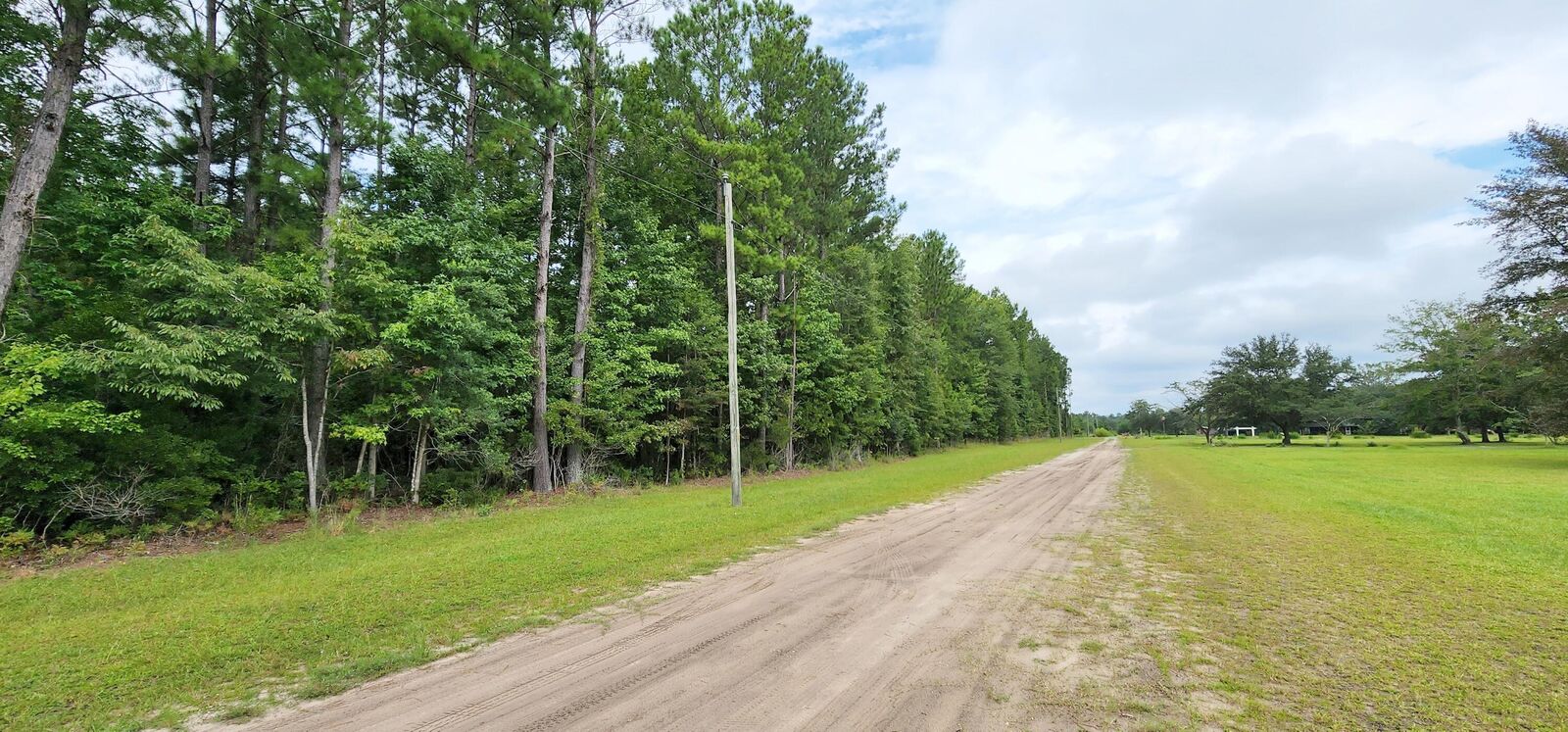 Property Photo: Lot 3 Skeebs Street SC 29458