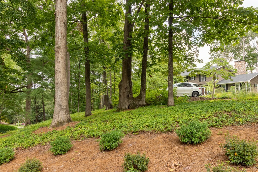 Property Photo:  1903 Rena Lane  GA 30720 