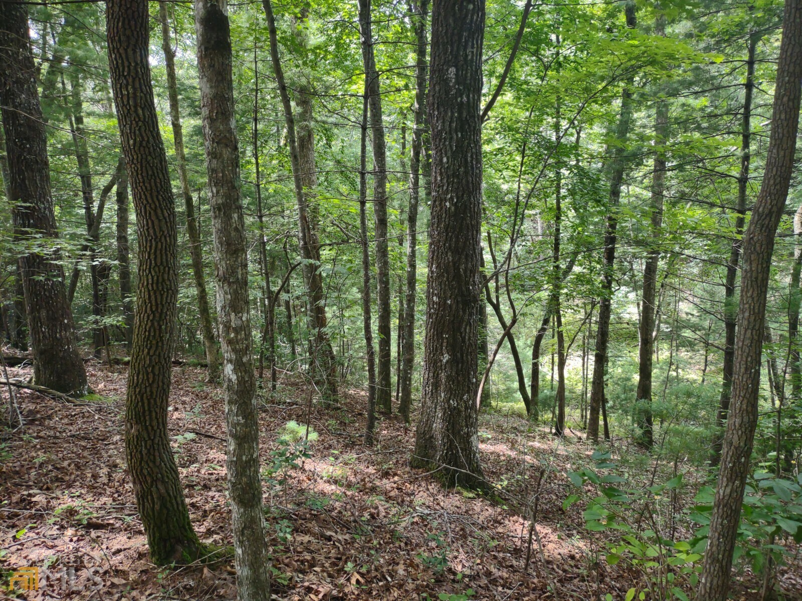 Property Photo:  Lt 255 Tomahawk Trail  GA 30522 