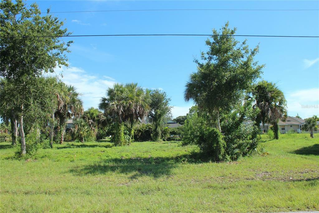 Property Photo:  203 Long Meadow Lane  FL 33947 