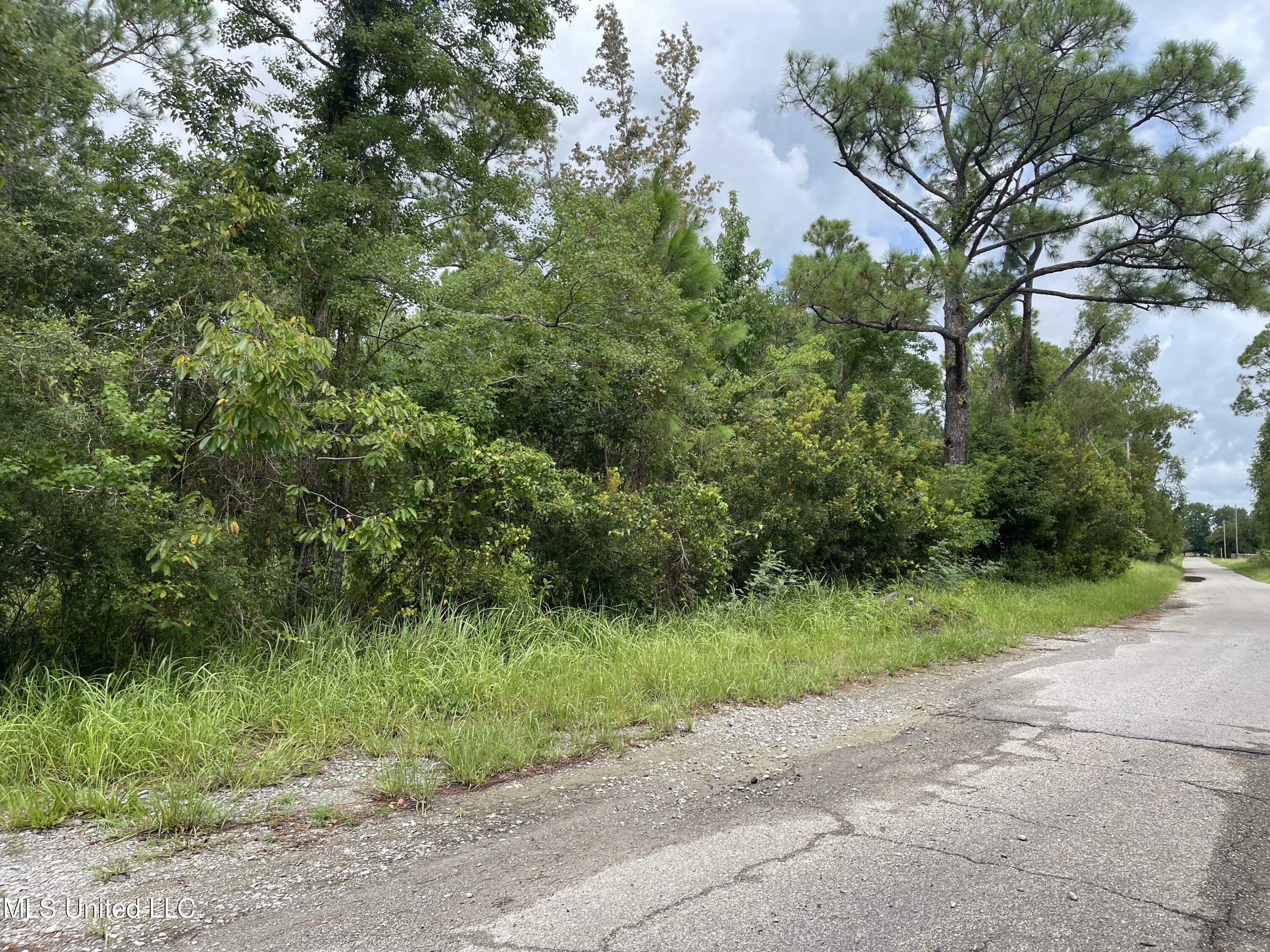 Property Photo:  0 Campbell Road Drive  MS 39532 