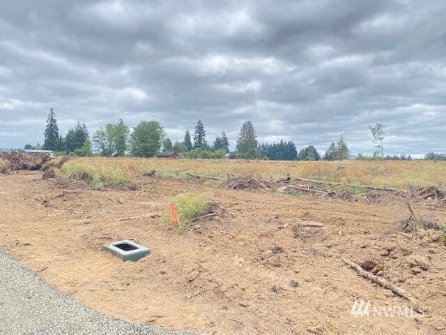 Property Photo: 115 Winwood Lane WA 98596